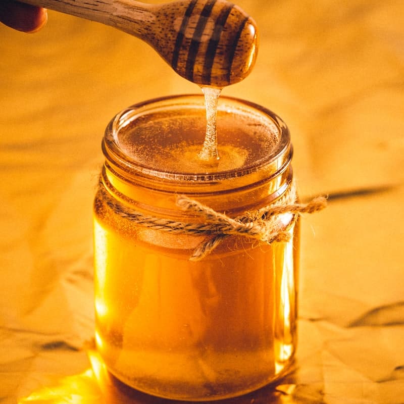 Wild Judean Desert Honey, 350g